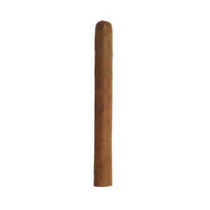 Cusano Churchill