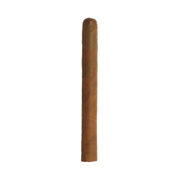 Cusano Churchill