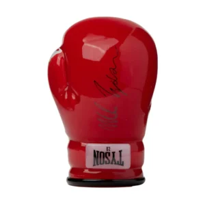 Tyson 2.0 Boxing Glove Hand Pipe – Pipe à main Mike Tyson