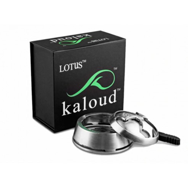 Tête de Chicha Lotus Kaloud
