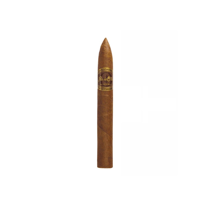 Flor de Oliva Nicaragua